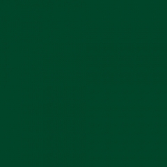 B-Verde RAL 6005 OPACO (+8%)